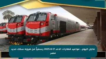 عاجل اليوم.. مواعيد قطارات الأحد 17-8-2025 رسمياً من هيئة سكك حديد مصر